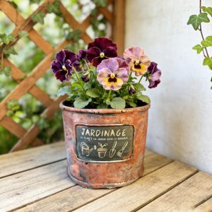 Retro European-Style Cement Flower Pots Distressed Coffee Cups Flower Buckets Classic Small Flower Pots Creative Garden Decor